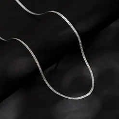 Aditya Roy Kapur Silver Verdure Chain For Him