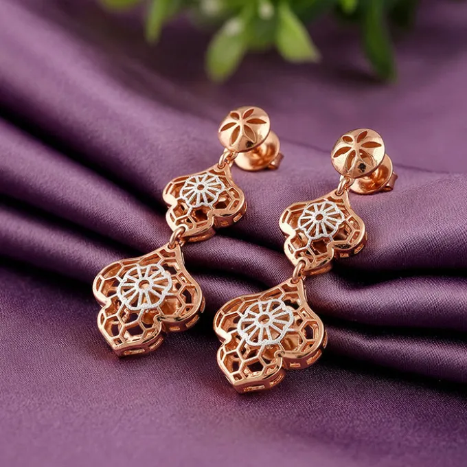 Dual Tone Sweet Aura Silver Earrings