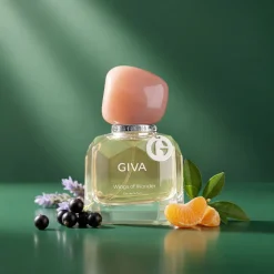 GIVA Wings of Wonder Perfume (50 ml)