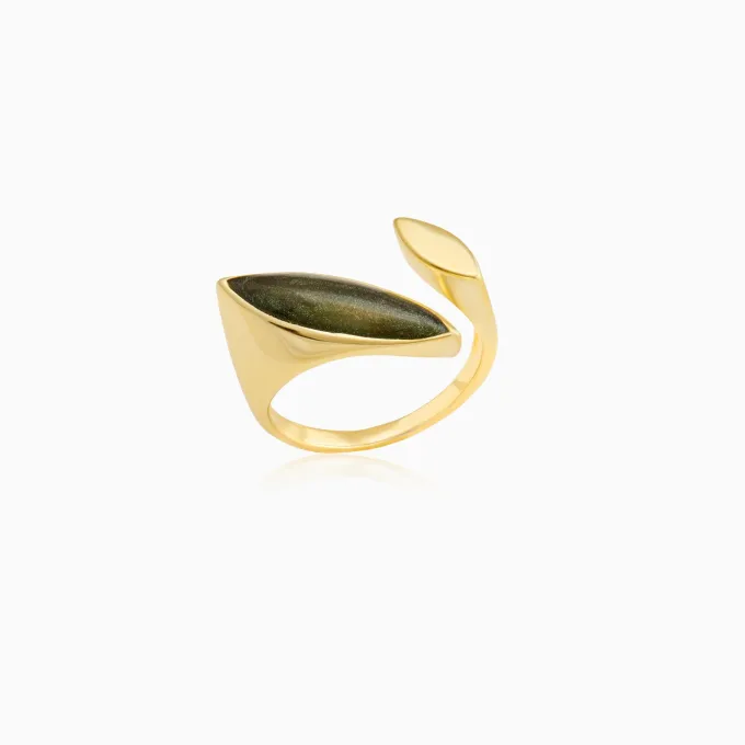 Golden Black Romance Ring