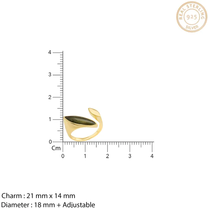 Golden Black Romance Ring