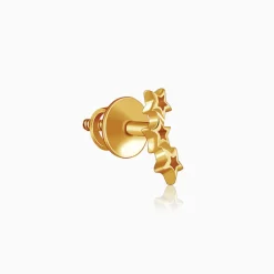 Golden Multi Twinkle Earrings
