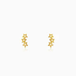 Golden Multi Twinkle Earrings