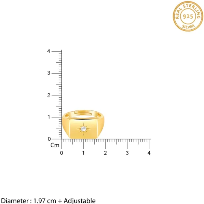 Golden Rise Star Signet Ring for Him (Size 22)