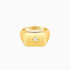 Golden Rise Star Signet Ring for Him (Size 22)