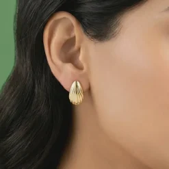 Golden Riva Stud Earrings