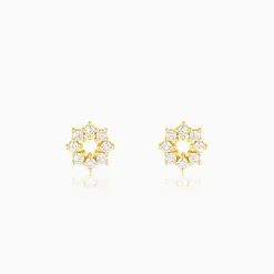 Golden Sparkling Earrings