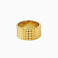Golden Understated Icon Ring