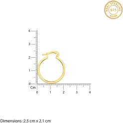 Golden Work Hoop Earrings
