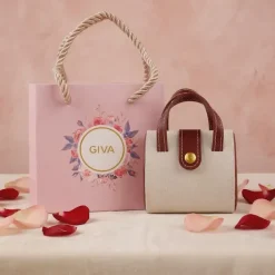 Iconic Monogram Mini Bag