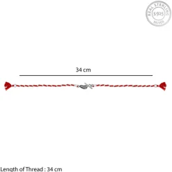 Oxidised Silver Krishna Rakhi