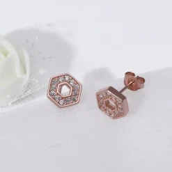 Rose Gold Hexagon Geometry Earrings