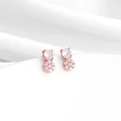 Rose Gold Zirconia Elegance Earrings