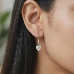 Silver Beyond Heart Earrings