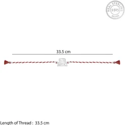 Silver Brother Rakhi