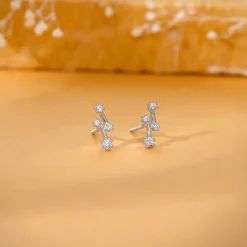 Silver Classy Glitter Earrings