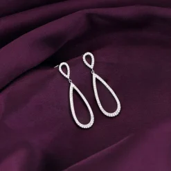 Silver Elegant Drop Earrings