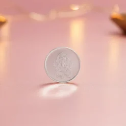 Silver Fortune Coin - (10g)