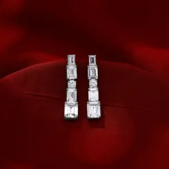 Silver Glam Earrings