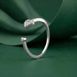 Silver Lifelong Ring