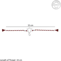 Silver Protector of All Rakhi