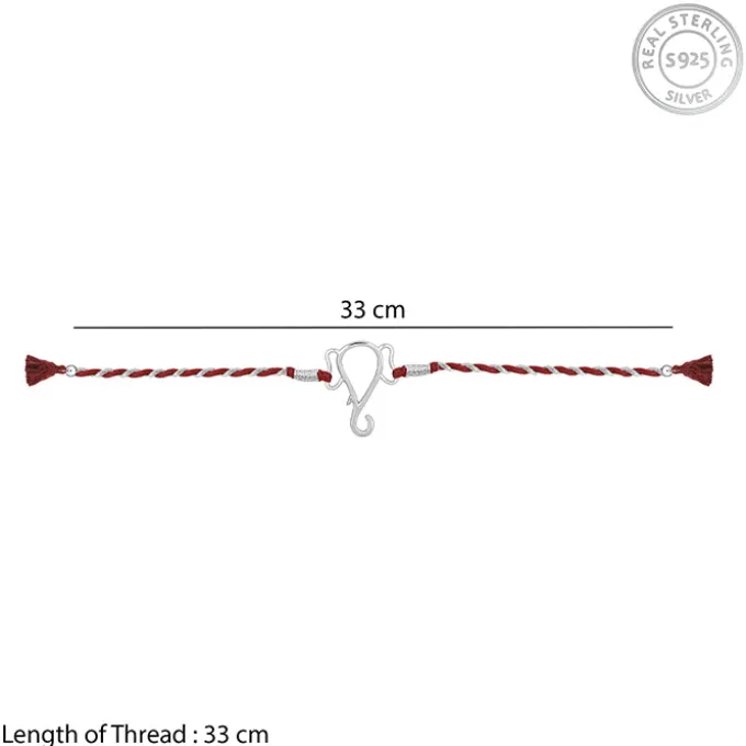 Silver Protector of All Rakhi