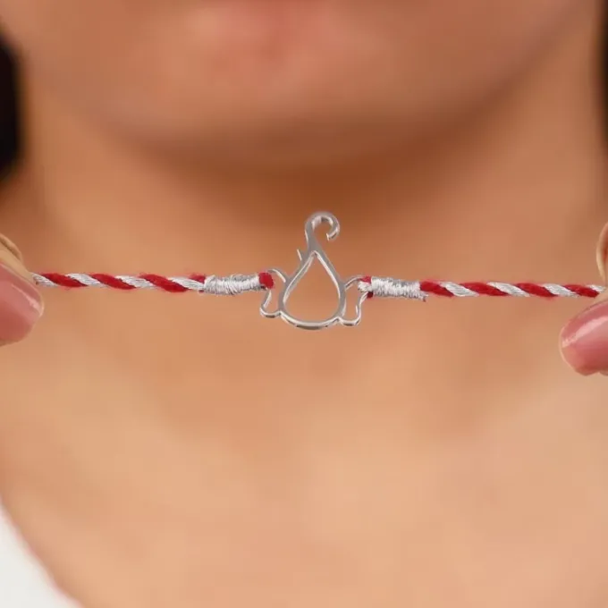 Silver Protector of All Rakhi