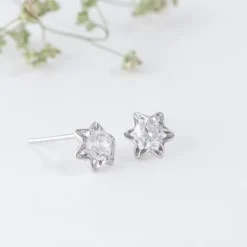 Silver Snowflake Set