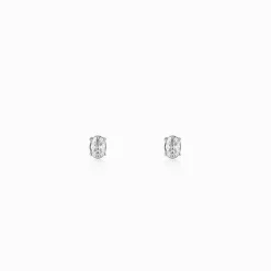 Silver Zircon Classic Stud Earrings