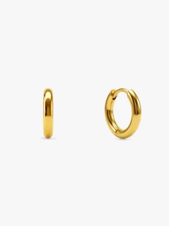 Street Loop Demi Fine Earrings Set